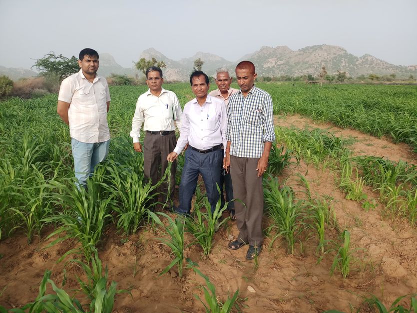 jalore news