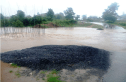 heavy rain in odisha 