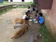 Dogs eating food the girls