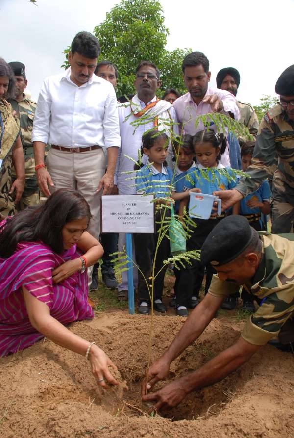 patrika campaign hariyalo rajasthan in labana achrol jaipur