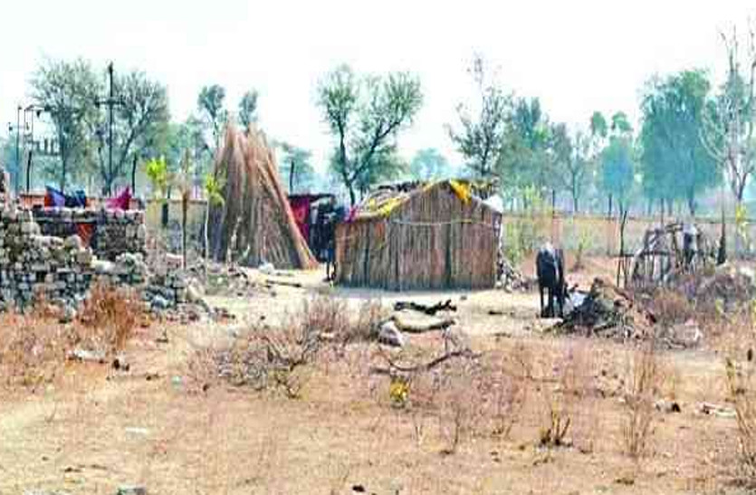 rajasthan news