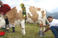 BIRTH DAY SPECIAL : 15 POINTS TO KNOW MORE ABOUT Roger Federer's STORY