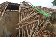 Elephants broken house