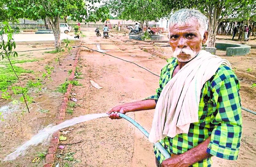 Ramu Kaka Of Alwar Saving More Than 11 hundred Trees In Their Village