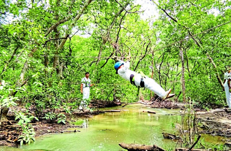 Training to new entrants