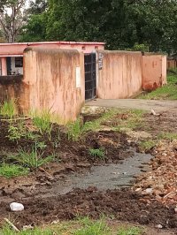 Constrained to read between transition, 150 schoolchildren