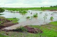 Bemetara Breaking news, Bemetara Irrigation News, Farming in Bemetara, Bemetara Farmer News
