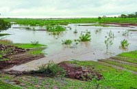 Bemetara Breaking news, Bemetara Irrigation News, Farming in Bemetara, Bemetara Farmer News