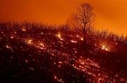 california fire team of 14000 fighters includes prisoners rescuing