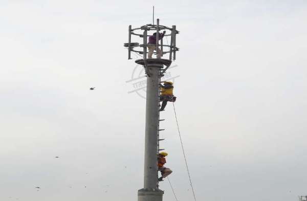 man climbed over mobile tower
