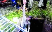 Two farmers die from poisonous gas leak