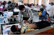 Dengue Havoc