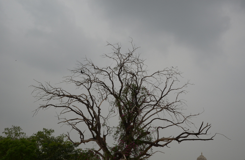 Jaipur weather
