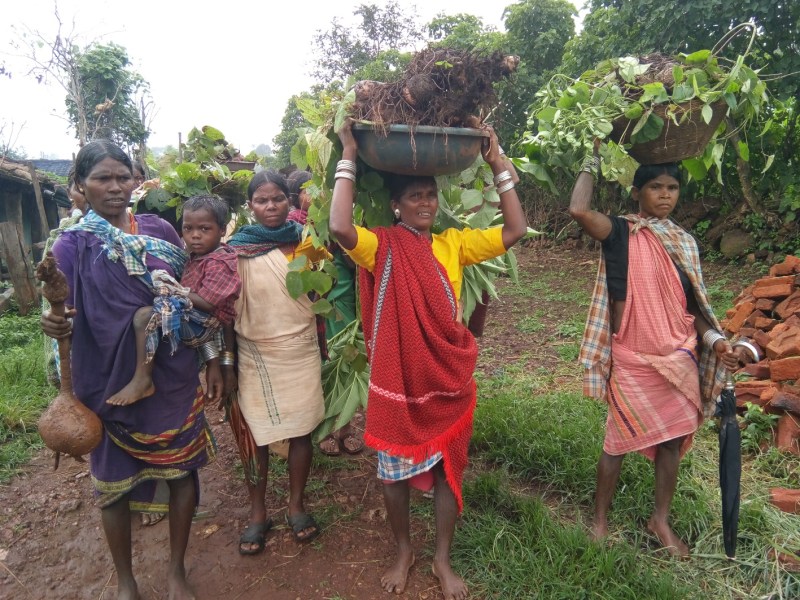 Rescue and survival of villagers started by the villagers