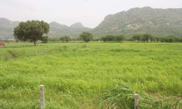 beautiful pics of nature