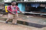 नहीं हो रहा कीटनाशक का छिड़काव, बारिश होते ही मच्छरों से हलाकान लोग