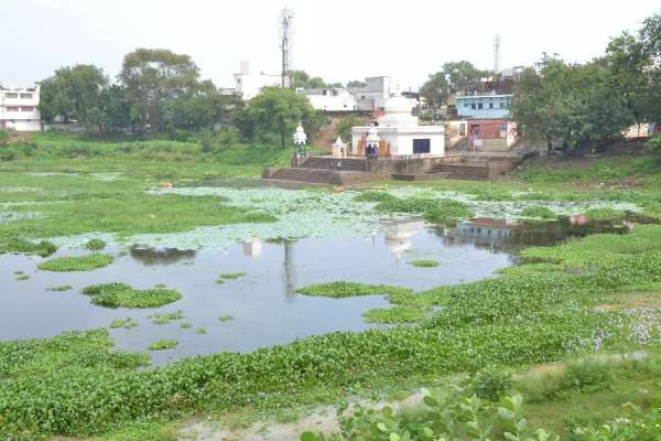 तालाब ने की नगर निगम से पुकार मेरी दुर्दशा दूर करो