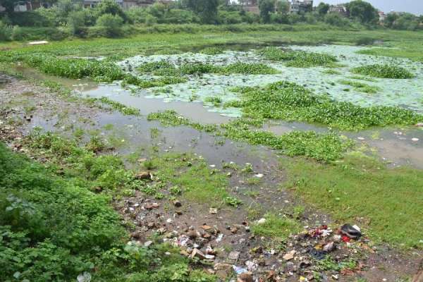 तालाब ने की नगर निगम से पुकार मेरी दुर्दशा दूर करो