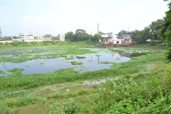 तालाब ने की नगर निगम से पुकार मेरी दुर्दशा दूर करो