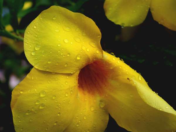 beautiful pics of nature