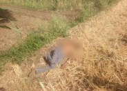 Dead body