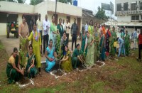 Patrika palntation campaign