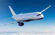 flight