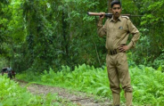 forest guard