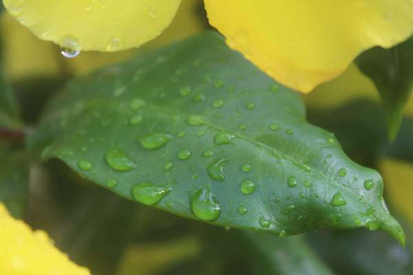 beautiful pics of nature