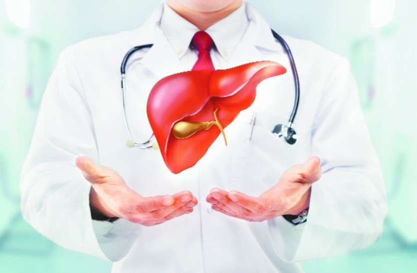 liver