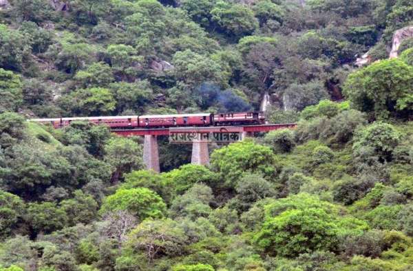 Train passing through Gorhamghat of Pali