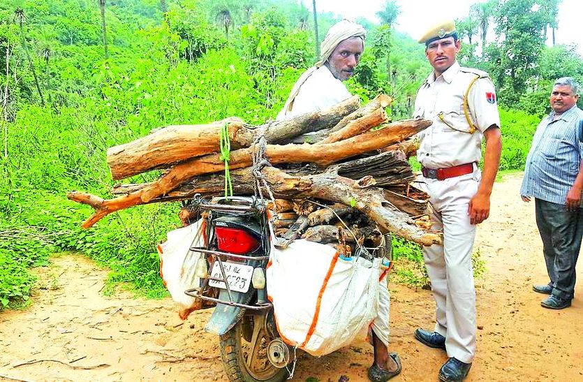 Milk Cake Industries Ruining Sariska's Nature