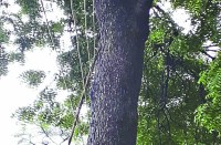 Bemetara Breaking News, Bemetara CSPDCL News, Atal Jyoti Yojna, Dadhi Sub Station