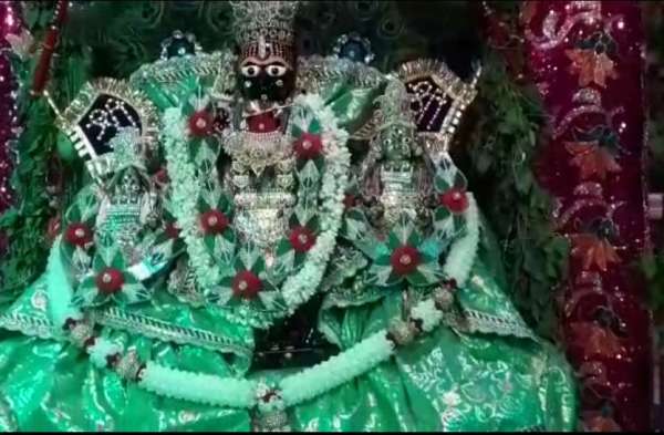 hariyali amavasya celebrated in nagaur