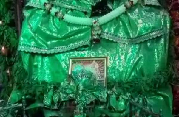 hariyali amavasya celebrated in nagaur