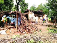 Herd of elephants strays into Sidhi district madhya pradesh