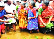 hdk