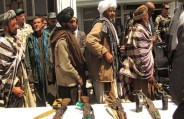  terrorists surrender
