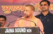 yogi