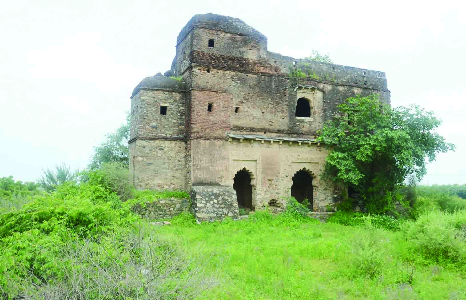 Rajsamand Hindi news,rajsamand latest hindi news,