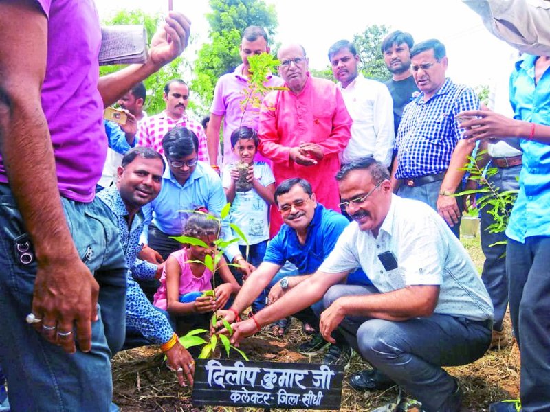 churhat government model school planted in 200 plants