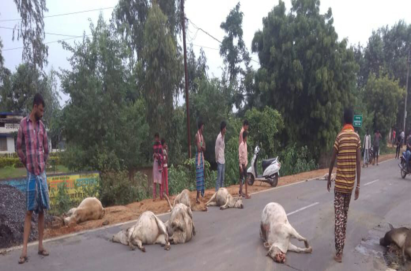 घटना सुनकर मवेशी मालिक सड़क पर पहुंचे