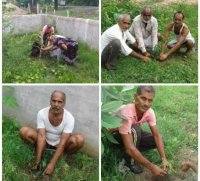 Donation of plants by the satna villagers