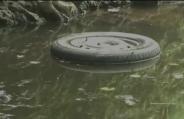 gujarat car accident