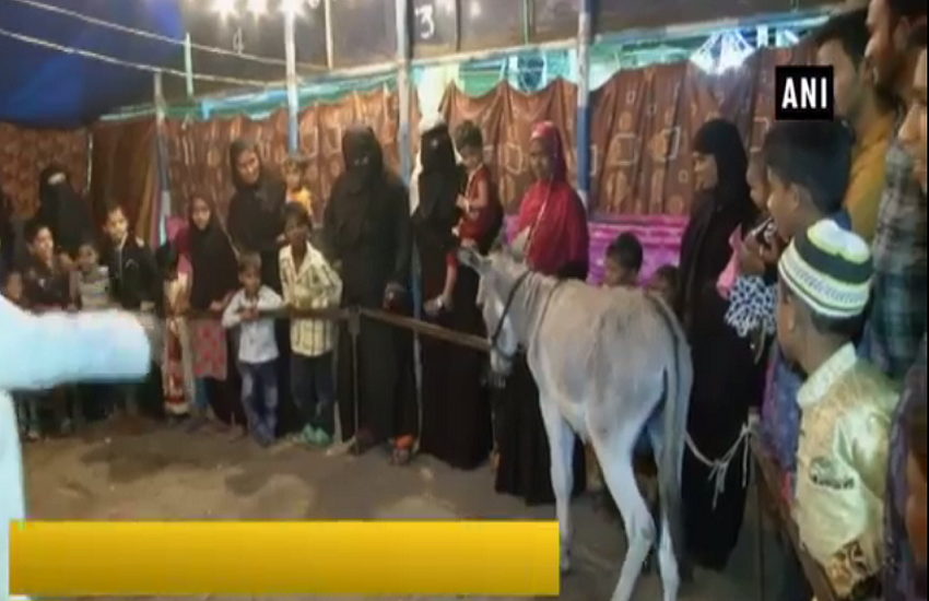 कर्नाटक में डंकी शो देखने के लिए एडवांस में 20 रुपए का टिकट बुक कराते हैं लोग