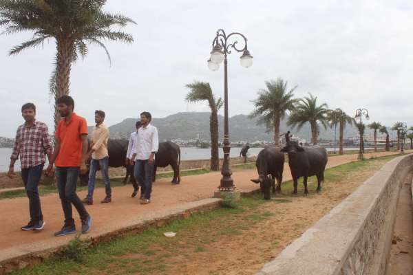 beautiful pics of chaupati in ajmer