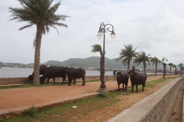 beautiful pics of chaupati in ajmer