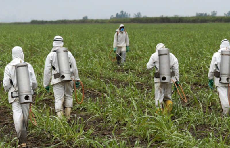 opinion,work and life,rajasthan patrika article,