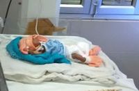 Laut Aao Maa : Come back soon, New Born Baby calling to her mother