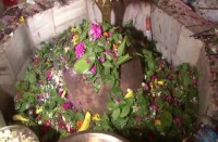 sawan 2018 shiv jal abhishek in temple